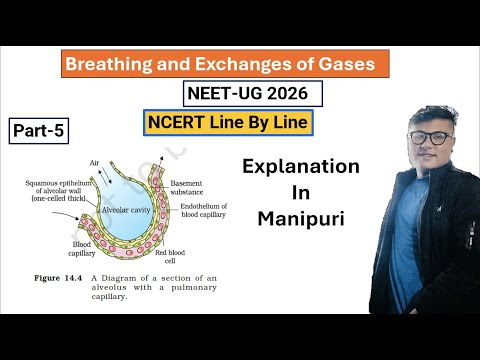Breathing and Exchanges of gases || Part- 5 || NEET UG Foundation #ncert #neet #latestnews