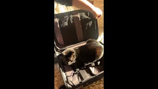 Nomatic - Carry-On Classic Holiday Travel