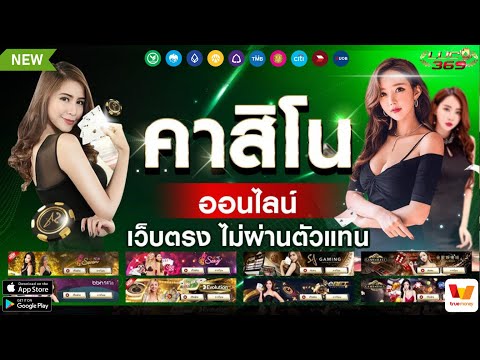 เว็บบาคาร่า true wallet