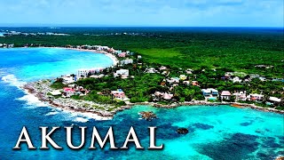 AKUMAL, MEXICO (TRAVEL GUIDE)