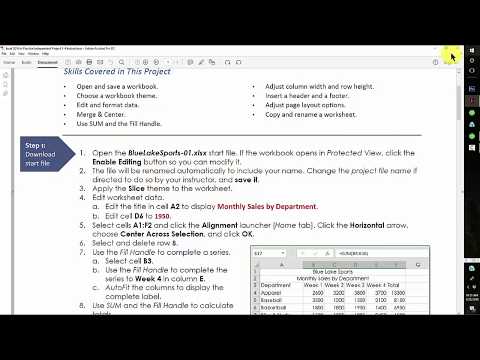u02a3 PROJECT Excel Creating and Editing Workbooks