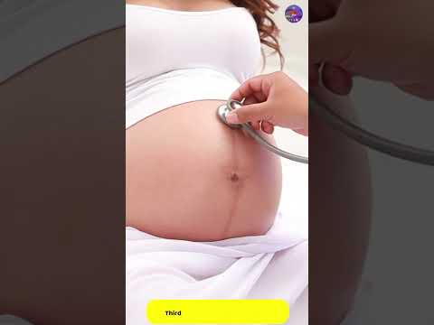 Watch My Belly Grow! 🤰✨ | Pregnancy Progression!