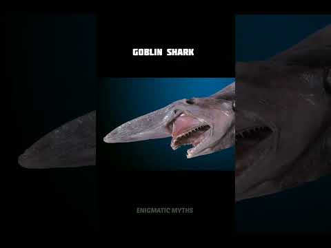 Scariest sea creatures ever [ WARNING ] Pt -2 #shorts
