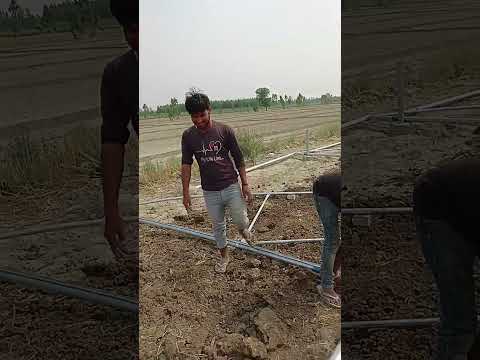 Ranu Mumbai ki Ranu #folksong #song #telugusongs #newsong #YouTube short#shortviral#trendingshorts