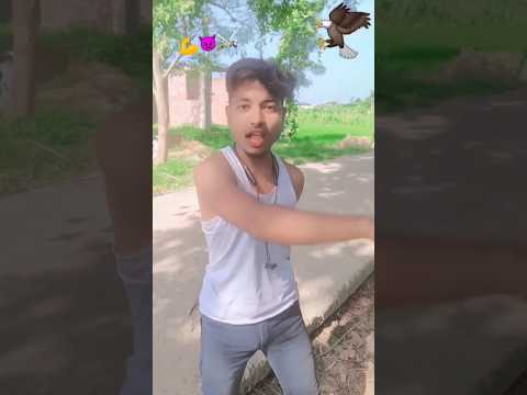 #tiktokeffects