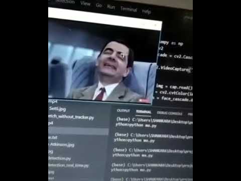 Representing Face Detection in .mp4 file
