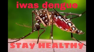 #caringteam#dengue#prevension