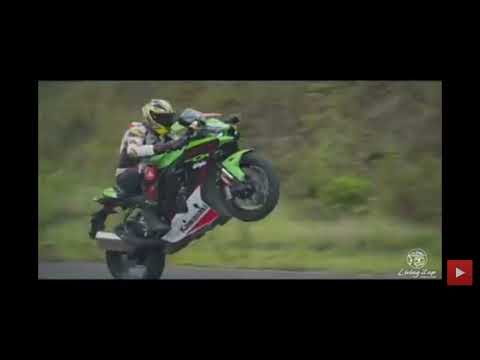 kawasaki zx 10r wheeling WhatsApp status#kawasakininja #zx10r #shorts