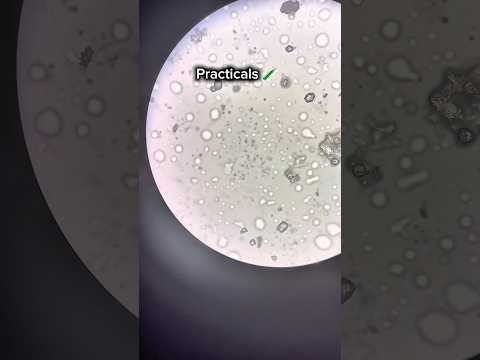 Exam day | Med school #medicine #viral #productivity #medical #unilife #study #studyvlog #shorts