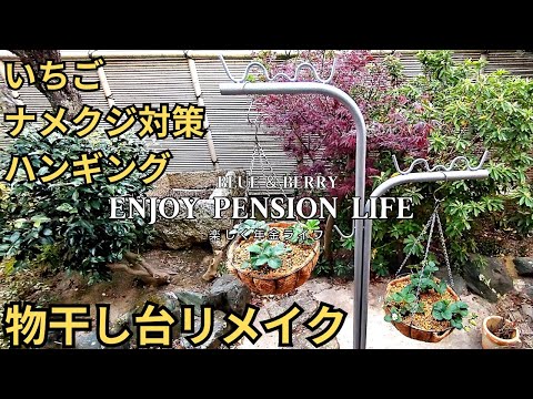 ナメクジ対策イチゴハンギング