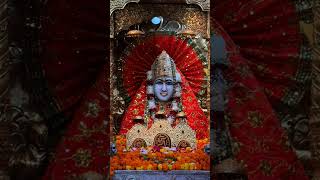 #mansadevi #live #divyadarbar 🙏🌹