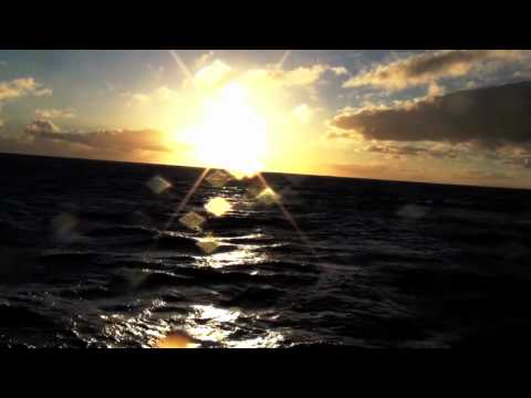 SOJA // Decide You're Gone