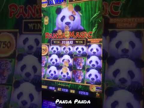 PANDA PANDA #pandamagic for the handpay #shorts #dragonlink $12.50bet