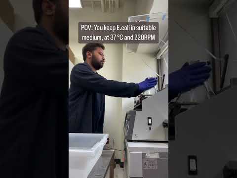 Dancing Bacteria | Just for Fun | #ecoli #labwork #phdlife #phd #experimentalscience #shorts