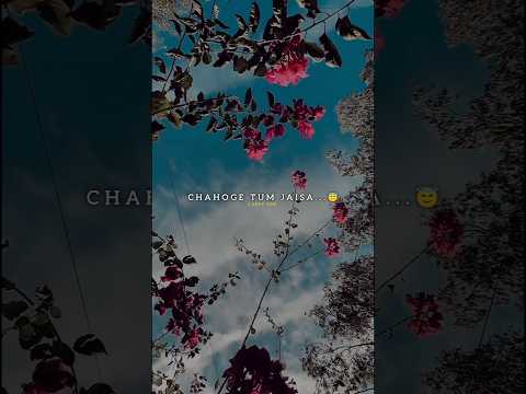 main rang sharbaton ka 🥰| Aesthetic lyrics status | Slowed reverb | #lofi #trending #sadstatus