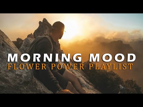 Morning Mood🍂 Chill Music to Start Your Day with Positive Energy | Indie/Pop/Folk/Acoustic