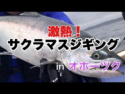 【サクラマスジギング】常呂沖のサクラマスジギングに挑戦！