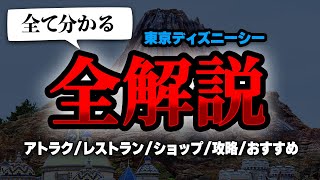 東京ディズニーシー園内を一周しながら、どこに何があるか全て紹介してみた