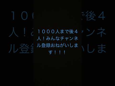 １０００人まで後４人！みんなチャンネル登録おねがいします！！！#ジャーブルグリーン#ジャーブルグリーンラーメン