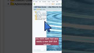 SAP GUI Shortcut: 💪 Open new Window (Ctrl + +) #sap #shortcut #tips