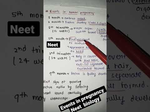 events in human pregnancy  in 50 seconds #neet #shorts #mbbs