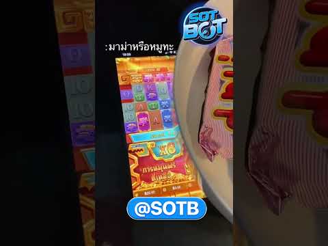 ชะตาวันนี้ขึ้นอยู่กับสาวถ้ำแล้วล่ะ