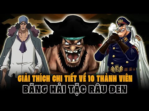 Giải Thích Chi Tiết 10 Thành Viên Của Băng Hải Tặc Râu Đen Trong One Piece