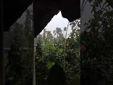 Saanson mein badi bekarari 💦//whatsapp status// raining weather// romantic status😍