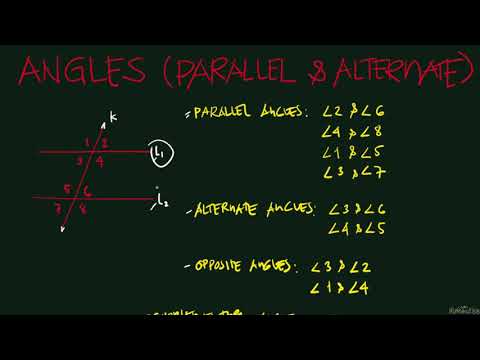 Geometry - Parallel and Opposite Angles