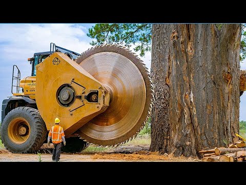 Extreme Giant Stump Destruction Wood Shredding Machines - Monster Excavator Removing Trees in Action