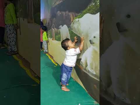 Ivar dha enga gang leader Harshith #settaigal #Harshith #Harsh #cutebabyboy #babyboy