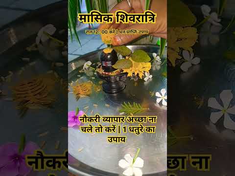 मासिक शिवरात्रि रात 12:00 बजे करें धन प्राप्ति उपाय हल्दी और 1धतुरे से #मासिक_शिवरात्रि #shorts