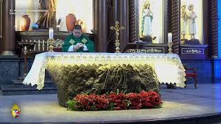 Thirty-first Sunday in Ordinary Time (2 November 2024)