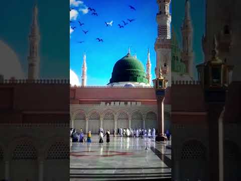 Jashn e Amad e Rasool - Farhan Ali Qadri #islam #freepalestine #shorts #youtubeshorts #shortvideo