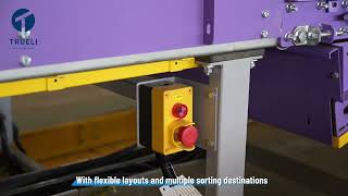 Boost Warehouse Efficiency with High-Speed Cross Belt Sorter
