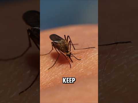 Did you know these plants keep mosquitoes away? #mosquito #plants #shorts #garden