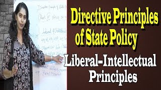 Liberal–Intellectual Principles of Directive Principles of State Policy | Best Tutor