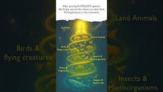 Why Human Birth is Rare in Hinduism | 8.4 Million Soul Journey
