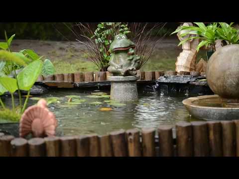 Rain Sounds For Sleeping | Peaceful & Soft Music | Release Stress |