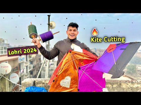 🔥Kite Cutting on Lohri 2024 | Kite Flying Festival | Kites Vlog |