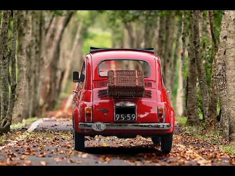 Best motivational Status Video King Video motivational #motivationalthought #short