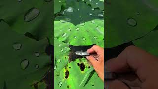 the beauty of nature - You didn't think it was that beautiful _236thclip #satisfying