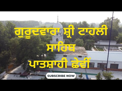 Experience the Spiritual Aura of Gurudwara Shri Tahli Sahib (ਪਾਤਸ਼ਾਹੀ ਛੇਵੀਂ ) Munak Kalan