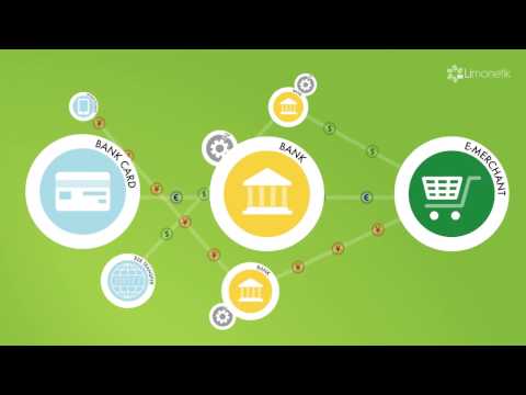 Accepting & Collecting Payments with LIMONETIK