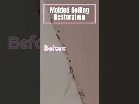 ✨Say Goodbye to Mold & Water Damage with Superstar Handyman! ✨