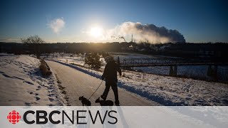 Edmonton's extreme cold strains Alberta's energy grid, triggers emergency alert