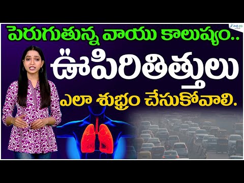 Best Tips to Clean your Lungs | Reduces Phlegm in Lungs | Lung Capacity | Health Tips | Sakshi Life