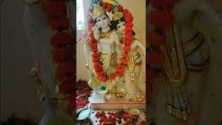 man Mandir mein base Bihari#morningbhakti #bajan 🙏🙏🙏