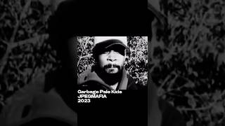 Sample Breakdown: Garbage Pale Kids - JPEGMAFIA #hiphop #rap #music #samplebreakdown