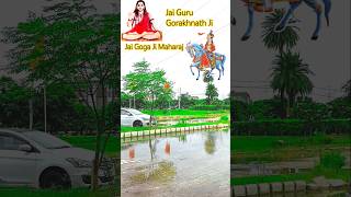 #gogamedimela गोगामेडी मेला दर्शन 2025 #shorts #shortvideo